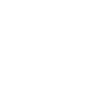 Online Casino Vivo